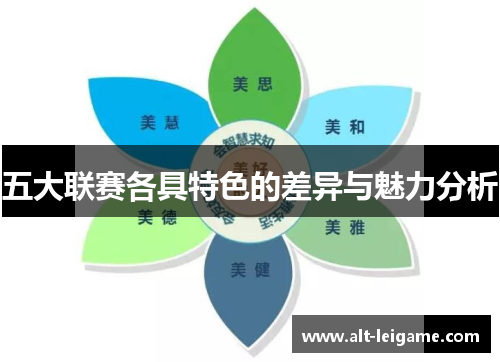 五大联赛各具特色的差异与魅力分析 五大联赛各具特色的差异与魅力分析
