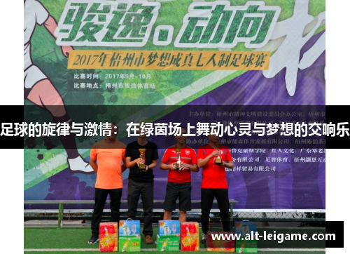 足球的旋律与激情：在绿茵场上舞动心灵与梦想的交响乐