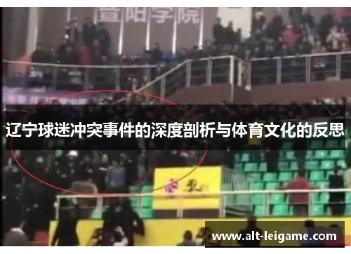 辽宁球迷冲突事件的深度剖析与体育文化的反思